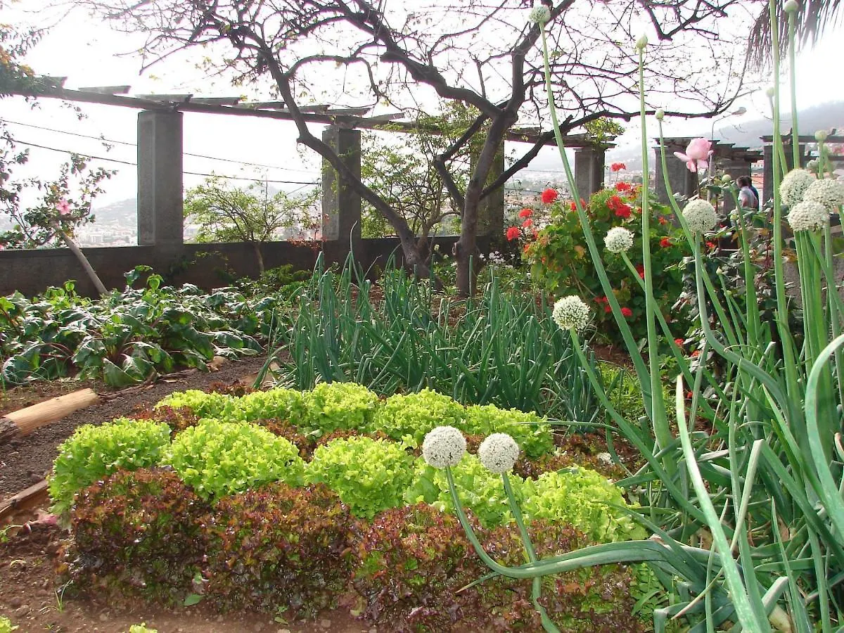 Quinta Do Bom Sucesso Apartment Funchal