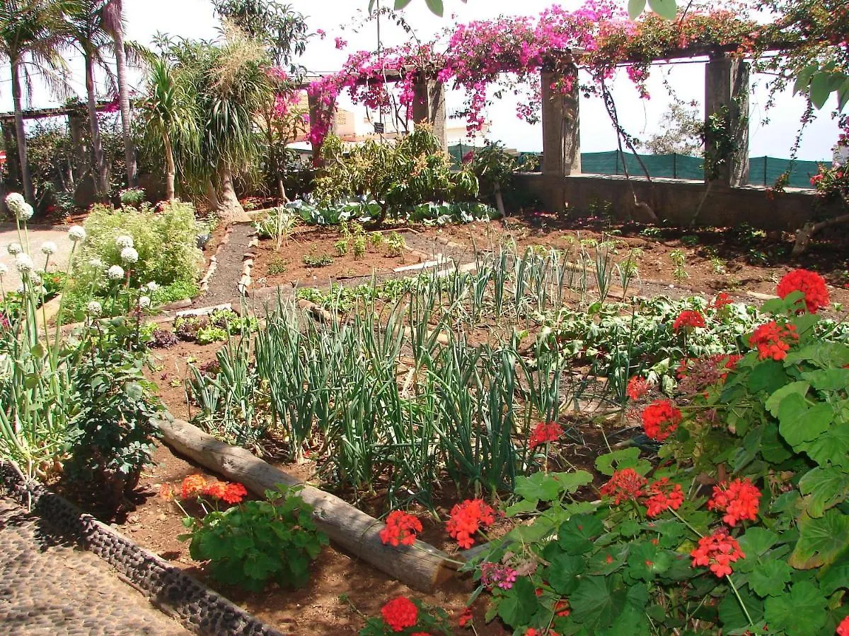 Quinta Do Bom Sucesso Apartment Funchal